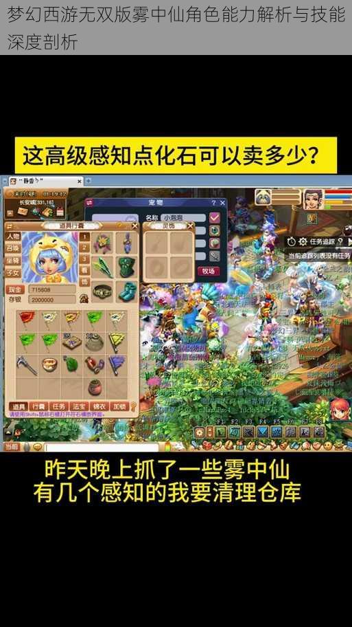 梦幻西游无双版雾中仙角色能力解析与技能深度剖析