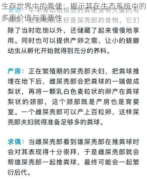 生存世界中的粪便：揭示其在生态系统中的多重价值与重要性