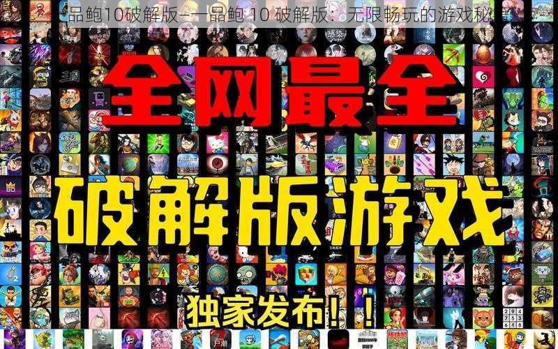 一品鲍10破解版—一品鲍 10 破解版：无限畅玩的游戏秘籍