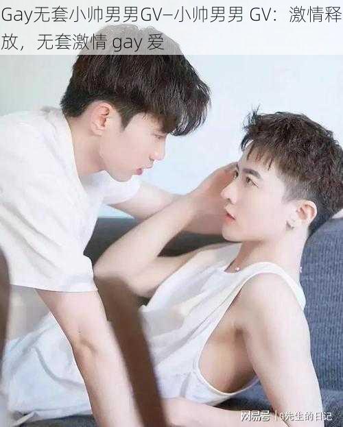 Gay无套小帅男男GV—小帅男男 GV：激情释放，无套激情 gay 爱