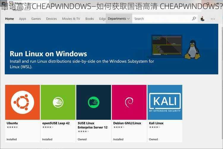 国语高清CHEAPWINDOWS—如何获取国语高清 CHEAPWINDOWS？