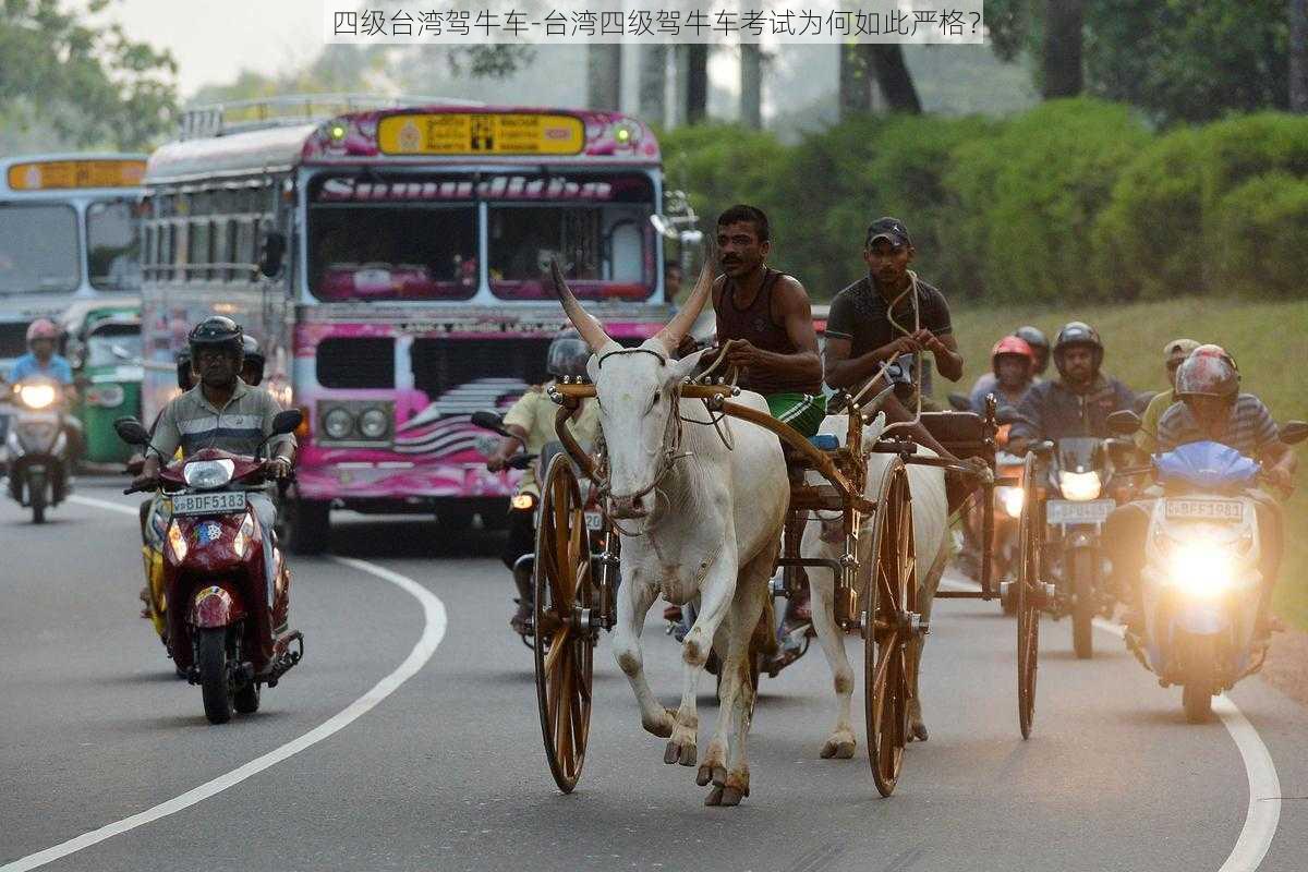 四级台湾驾牛车-台湾四级驾牛车考试为何如此严格？