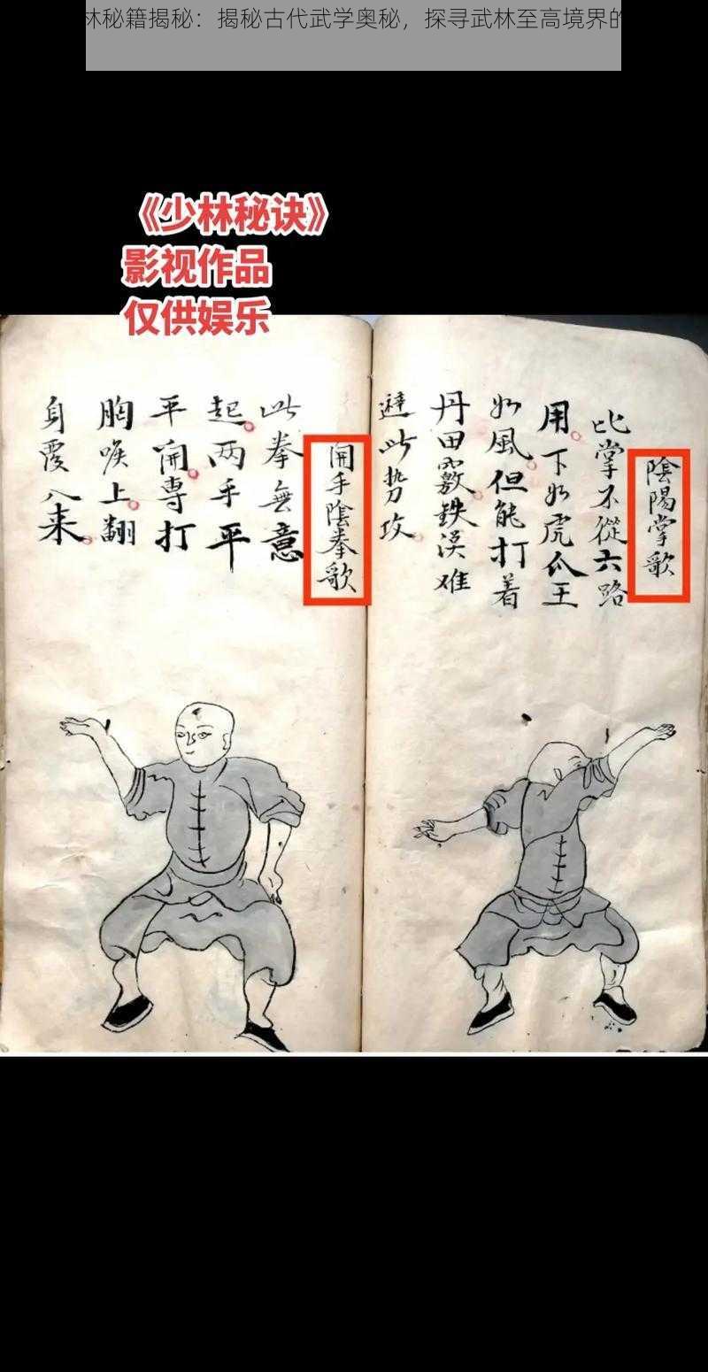 十大武林秘籍揭秘：揭秘古代武学奥秘，探寻武林至高境界的无上宝典