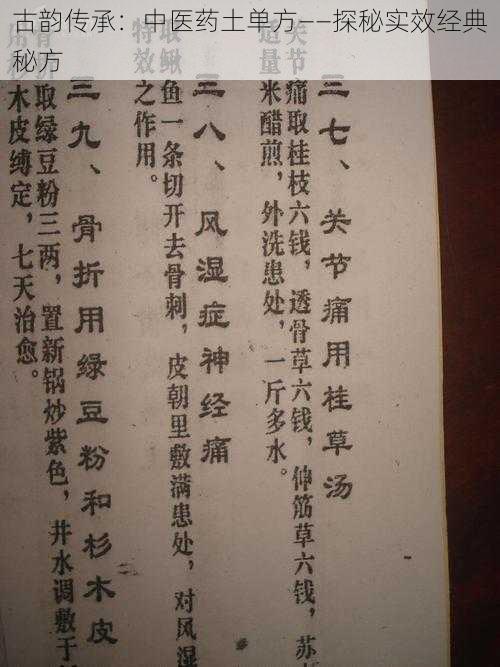 古韵传承：中医药土单方——探秘实效经典秘方