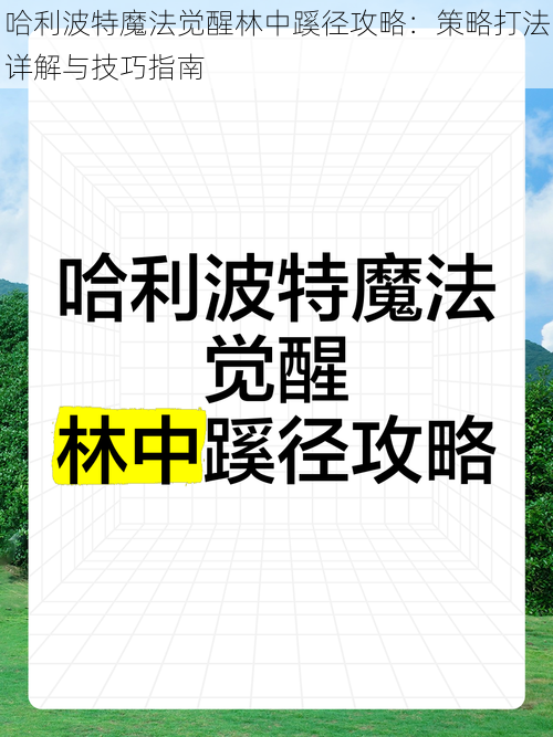 哈利波特魔法觉醒林中蹊径攻略：策略打法详解与技巧指南