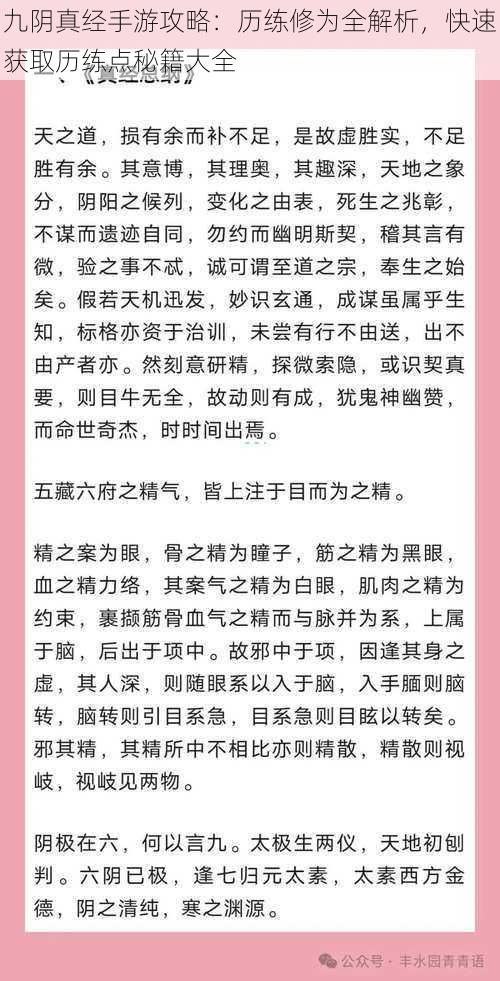 九阴真经手游攻略：历练修为全解析，快速获取历练点秘籍大全