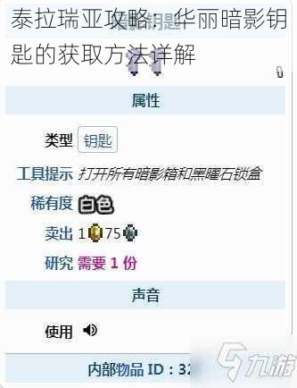 泰拉瑞亚攻略：华丽暗影钥匙的获取方法详解