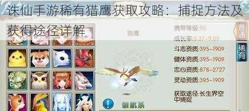 诛仙手游稀有猎鹰获取攻略：捕捉方法及获得途径详解